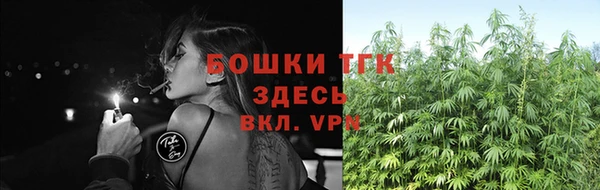мдпв Михайловск