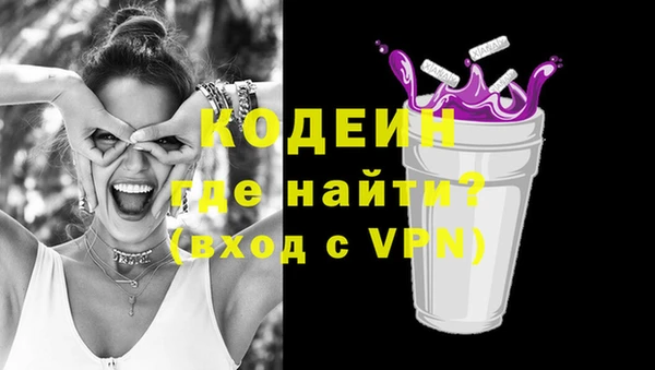 индика Михайлов