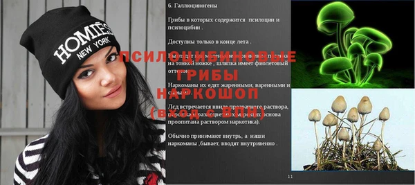индика Михайлов