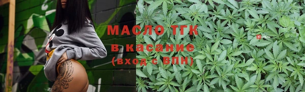 индика Михайлов