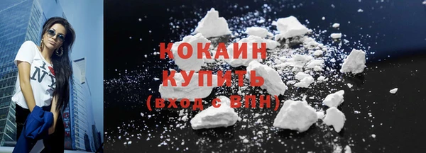 индика Михайлов