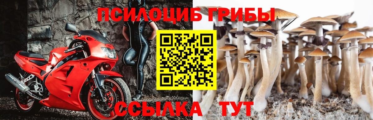 Галлюциногенные грибы мухоморы Моршанск
