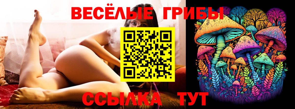 Моршанск  Псилоцибиновые грибы GOLDEN TEACHER  Вход с VPN 