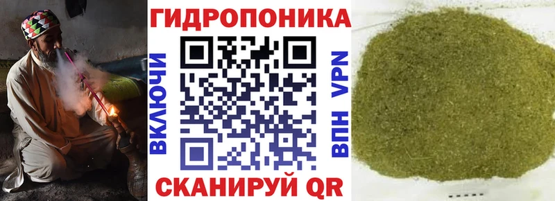 как найти закладки  darknet какой сайт  Бошки Шишки ГИДРОПОН  Моршанск 